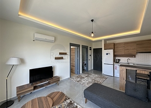 Просторные апартаменты 1+1