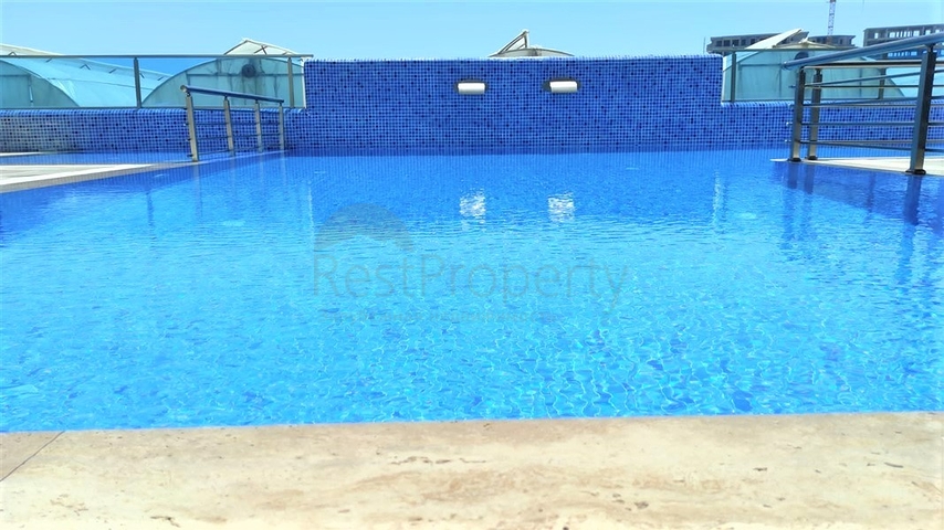 Современная квартира 1+1