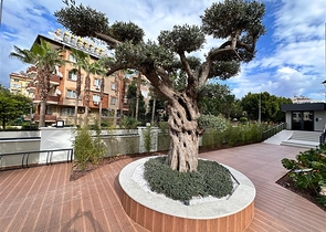 Квартира 1+1 в новом комплексе всего в 400 м от моря в центре Алании 