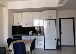 Меблированная двухкомнатная квартира планировки 1+1