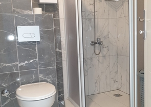 Меблированная двухкомнатная квартира планировки 1+1