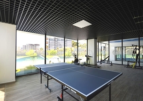 Меблированная двухкомнатная квартира планировки 1+1