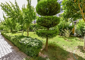 Квартира 2+1 с отдельной кухней в 50 метрах от моря в центре Алании