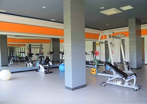 Меблированная квартира студия в Авсалларе