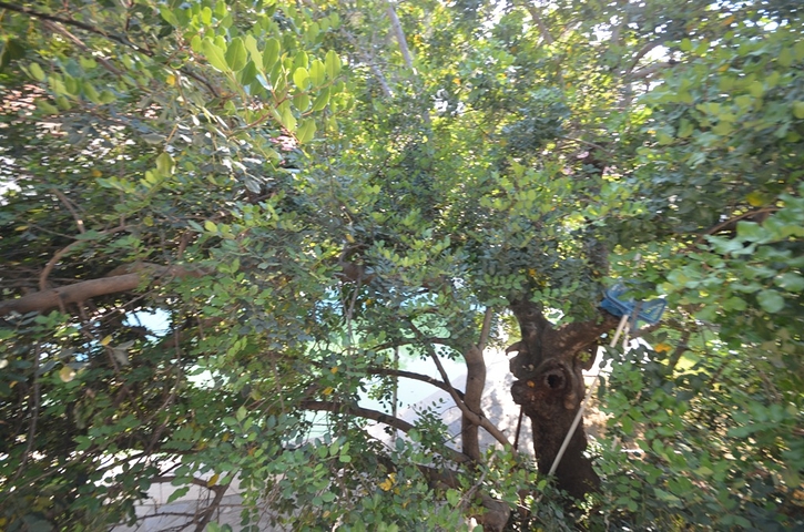 Бутик отель 23 комнаты в районе Фетхие