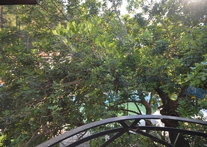 Бутик отель 23 комнаты в районе Фетхие