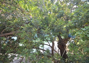 Бутик отель 23 комнаты в районе Фетхие