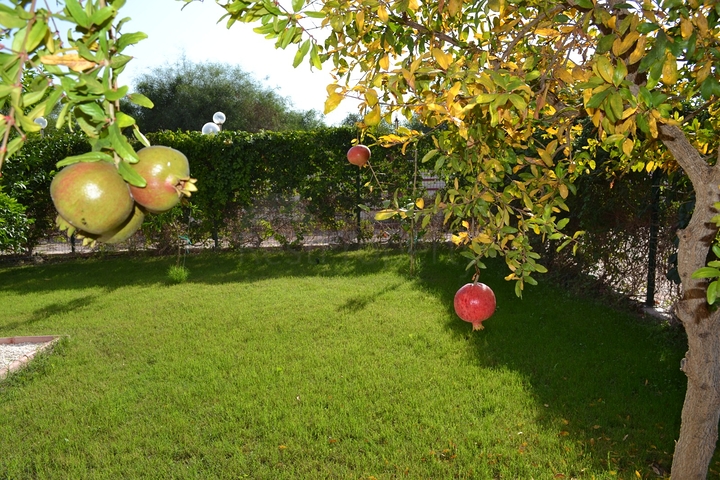 Вилла 4+1 с мебелью в центре Белека