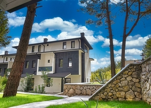 Инвестиционный проект виллы  в районе Кемер - Анталия