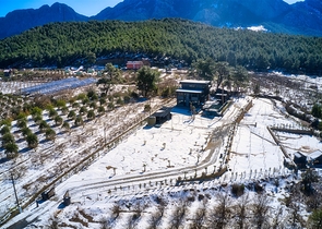 Шикарная Вилла планировки 5+3  в районе Коньяалты - Анталия 