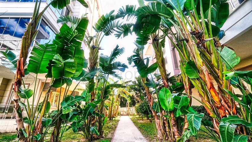 Квартира планировки 2+1 в микрорайоне Лиман - Анталия 