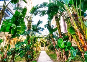 Квартира планировки 2+1 в микрорайоне Лиман - Анталия 