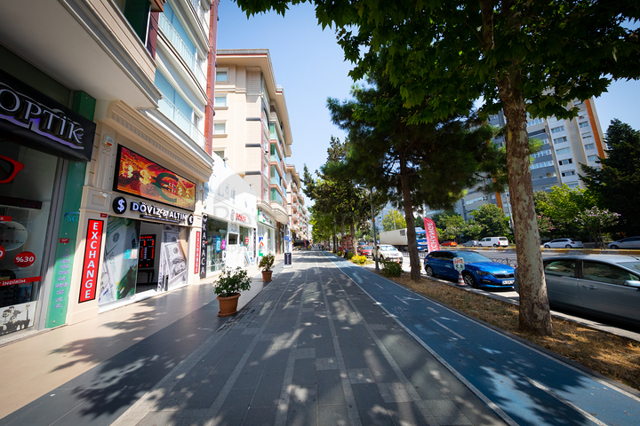 Проект семейной концепции в районе Бейликдюзю