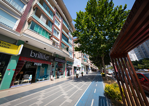 Проект семейной концепции в районе Бейликдюзю