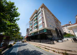 Проект семейной концепции в районе Бейликдюзю