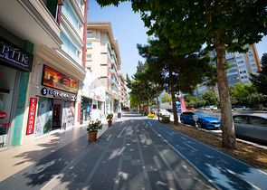 Проект семейной концепции в районе Бейликдюзю