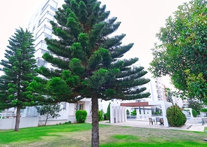 Квартира планировки 2+1 в микрорайоне Унджалы - Анталия 