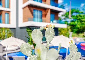 Инвестиционный проект в районе Алтынташ - Анталия 