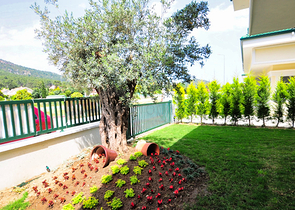 Вилла планировки 3+1 в районе Кемер - Анталия 