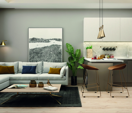 Инвестиционный проект в районе Алтынташ - Анталия