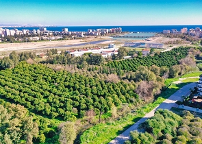 Квартиры планировки 2+1 и 3+1 дуплекс в микрорайоне Хурма - Анталия