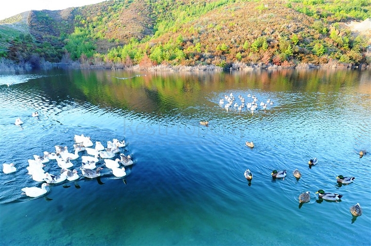 Апартаменты в Голд Сити по невероятно низкой цене