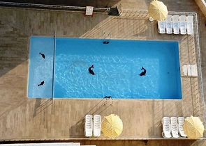 Апартаменты 2+1 с захватывающим дух видом на море