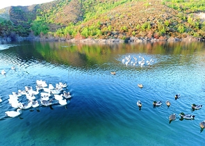 Апартаменты люкс-класса с прямым видом на море