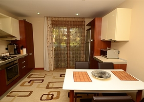 Апартаменты 2+1 с выходом в сад в аренду