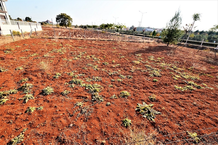 Земля под строительство частного дома в Дошемеалты