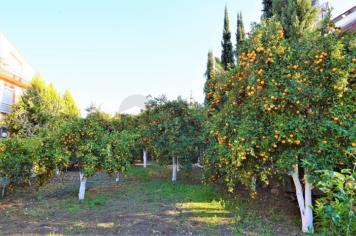 Отдельностоящая вилла 5+1 в Гейнюке