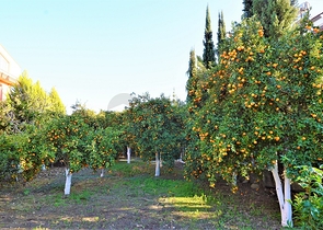 Отдельностоящая вилла 5+1 в Гейнюке