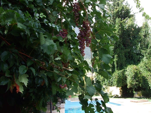 Усадьба-гостиница в тосканском стиле в Бейджике Кемере