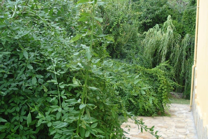 Усадьба-гостиница в тосканском стиле в Бейджике Кемере