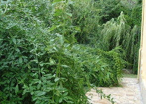 Усадьба-гостиница в тосканском стиле в Бейджике Кемере