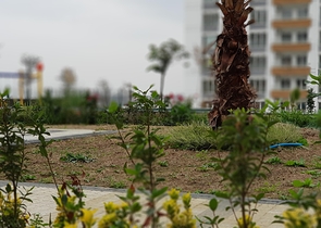 3-комнатная квартира в районе Бейликдюзю 