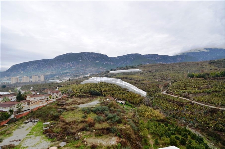 Меблированная квартира 1+1 в комплексе с богатой инфраструктурой