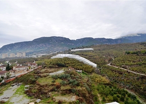 Меблированная квартира 1+1 в комплексе с богатой инфраструктурой