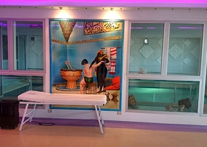 Традиционный турецкий дом с видом на Босфор 