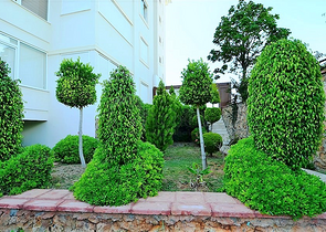 Большой пентхаус для всей семьи в районе Тосмур