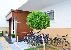 Четырехкомнатная квартира в шаговой доступности от моря