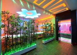 Двухкомнатная квартира с мебелью в комплексе класса люкс