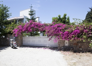 Вилла в Бодруме с общей территорией 1200м2