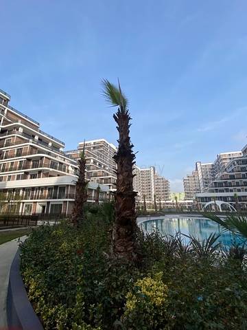 Уникальный семейный комплекс в районе Бейликдюзю