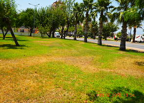 Просторные квартиры 2+1 в центре города Анталии