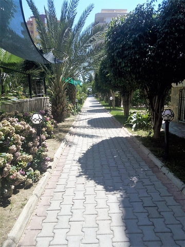 Трехкомнатная квартира на первой линии