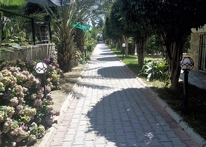 Трехкомнатная квартира на первой линии