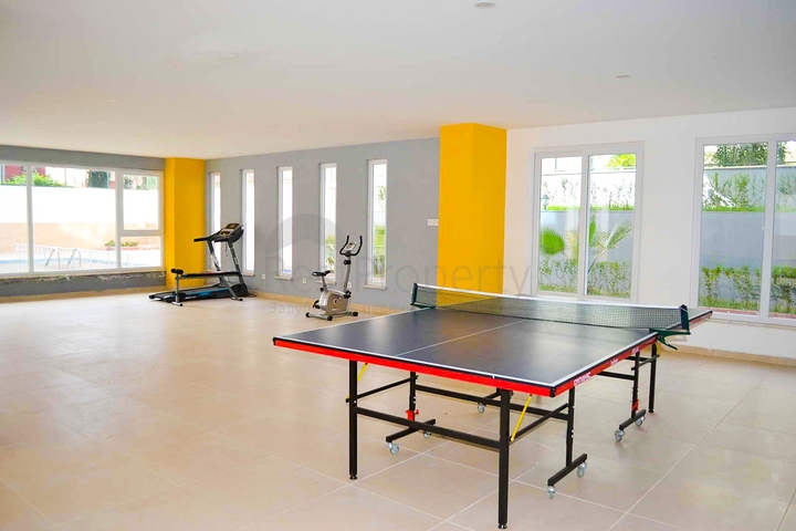 Меблированная квартира - пентхаус по доступной цене