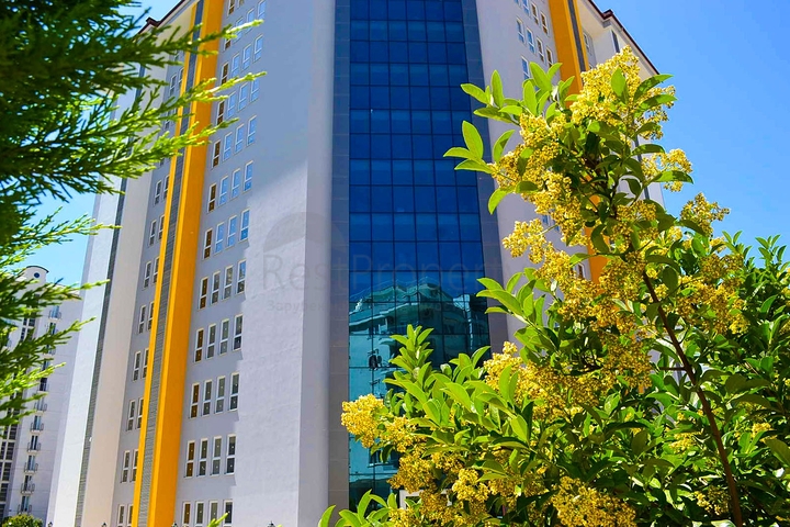 Меблированная квартира - пентхаус по доступной цене