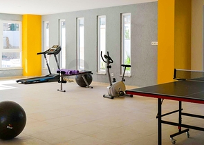 Меблированная квартира - пентхаус по доступной цене